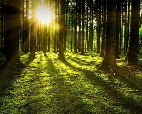 Heilpraktikerin für Psychotherapie Rosenheim- Beitrag "Selbstfürsorge und Achtsamkeit im Alltag"