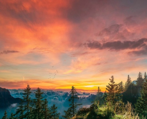 Heilpraktikerin für Psychotherpie, Qigong, Landschaft und Ruhe