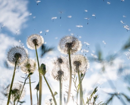 Heilpraktikerin für Psychotherapie Rosenheim- Beitrag "Was bedeutet Glück eigentlich?"